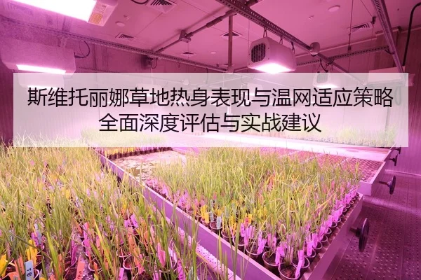 斯维托丽娜草地热身表现与温网适应策略全面深度评估与实战建议